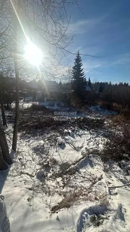 Участок в Иркутская область, Иркутский муниципальный округ, Голубые ... - Фото 1