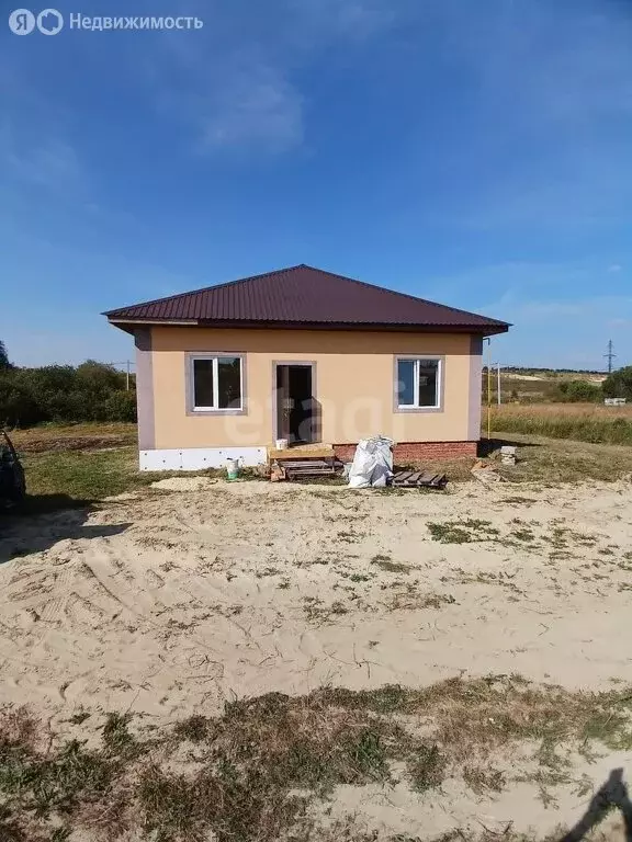 Дом в Пензенская область, село Бессоновка (105 м) - Фото 0