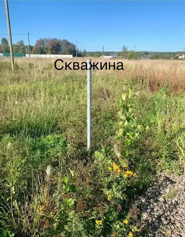 Участок в Ленинградская область, Выборгский район, пос. Селезнево  ... - Фото 1