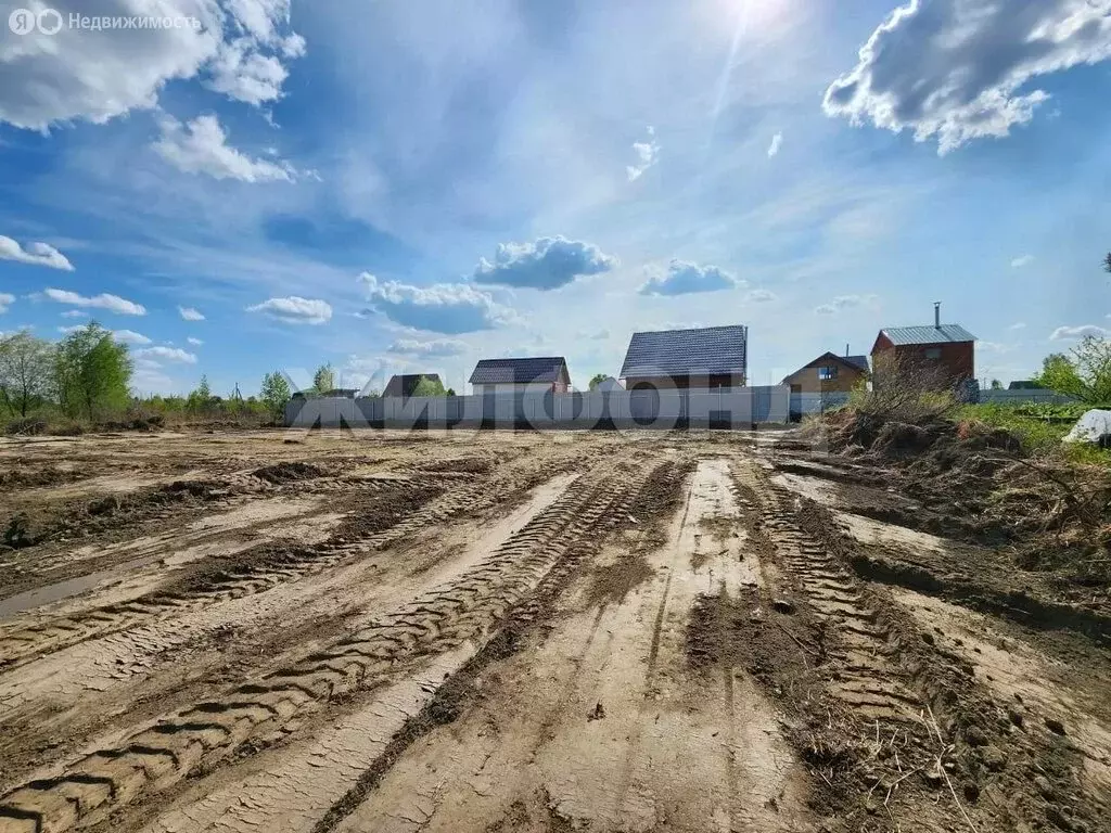 Участок в Колыванский район, СНТ Заря (11 м) - Фото 2