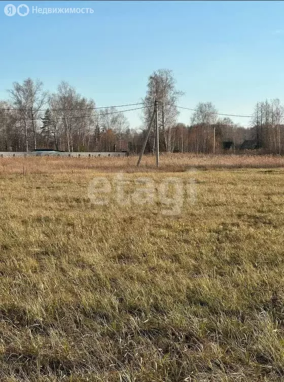 Участок в Тюмень, ДНТСН Зелёный Бор (10.9 м) - Фото 1