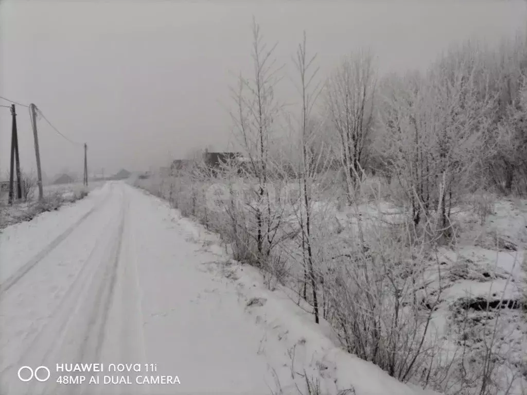 Участок в Вологодская область, Шекснинский муниципальный округ, д. ... - Фото 2
