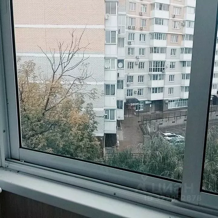 1-к кв. Ярославская область, Ярославль ул. Тургенева, 24А (31.0 м) - Фото 0