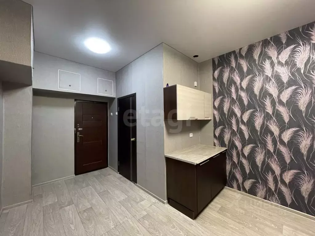 Студия Вологодская область, Вологда ул. Можайского, 90 (19.0 м) - Фото 2