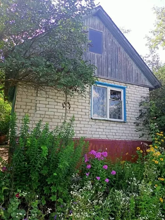 Дом в Белгородская область, Белгород Дачная ул. (28 м) - Фото 0
