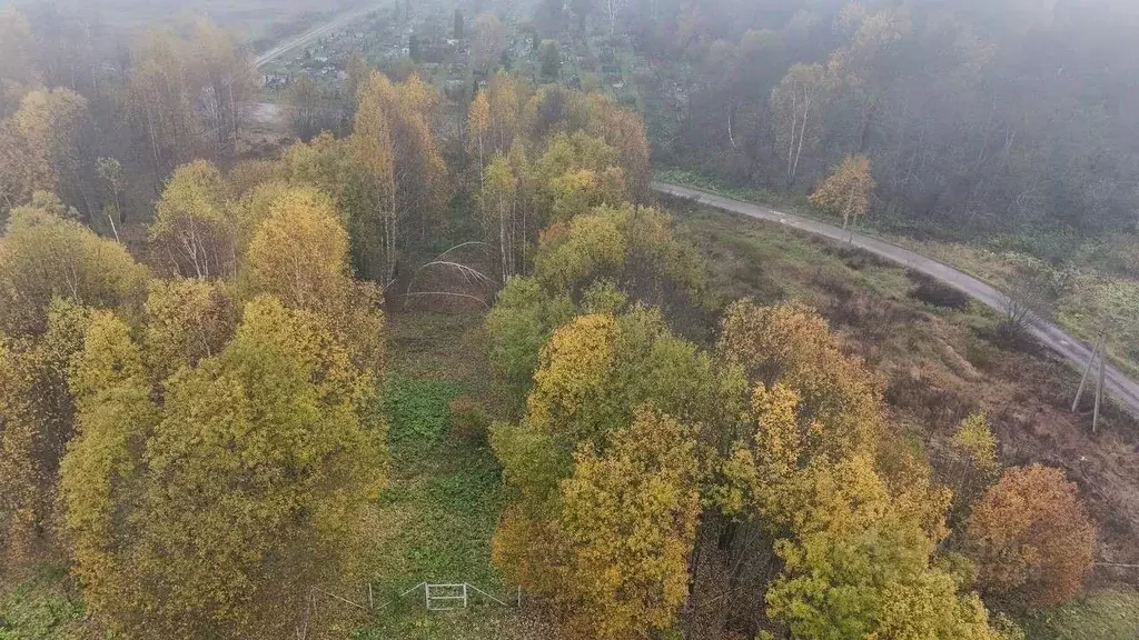 Участок в Московская область, Волоколамский муниципальный округ, д. ... - Фото 1