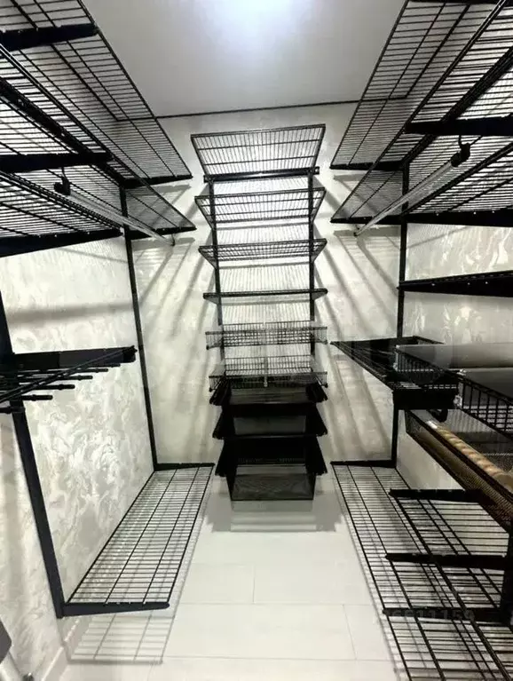 3-к кв. Вологодская область, Вологда ул. Возрождения, 55к2 (60.4 м) - Фото 2