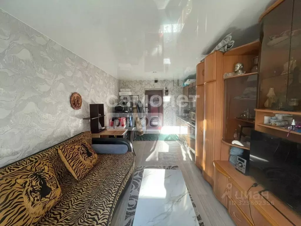 Студия Краснодарский край, Туапсе ул. Галины Петровой, 11 (18.8 м) - Фото 2