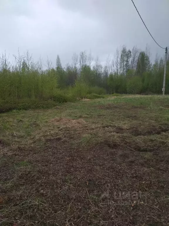 Участок в Новгородская область, Новгородский район, Ракомское с/пос, ... - Фото 0