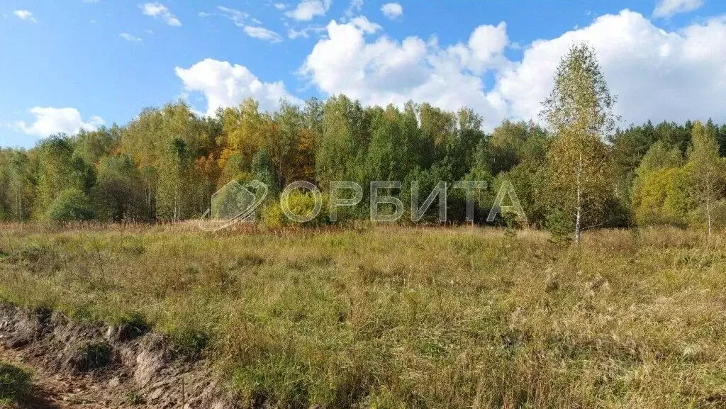 Участок в Тюменская область, Нижнетавдинский район, Венеция СНТ  (9.6 ... - Фото 0