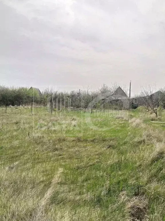 Участок в Воронежская область, Рамонский район, Павловское с/пос, с. ... - Фото 1