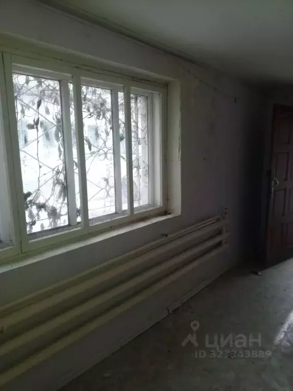 Помещение свободного назначения в Челябинская область, Кыштым ул. ... - Фото 1