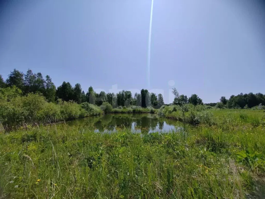 Участок в Свердловская область, Слободо-Туринский район, ... - Фото 1
