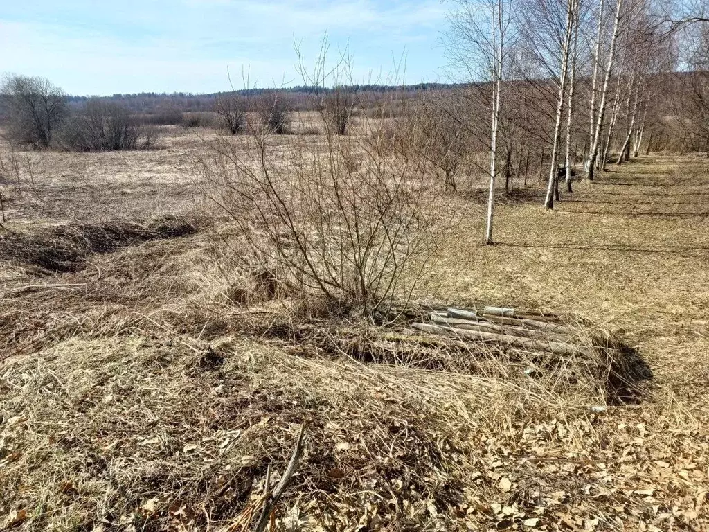 Участок в Московская область, Сергиево-Посадский городской округ, с. ... - Фото 2