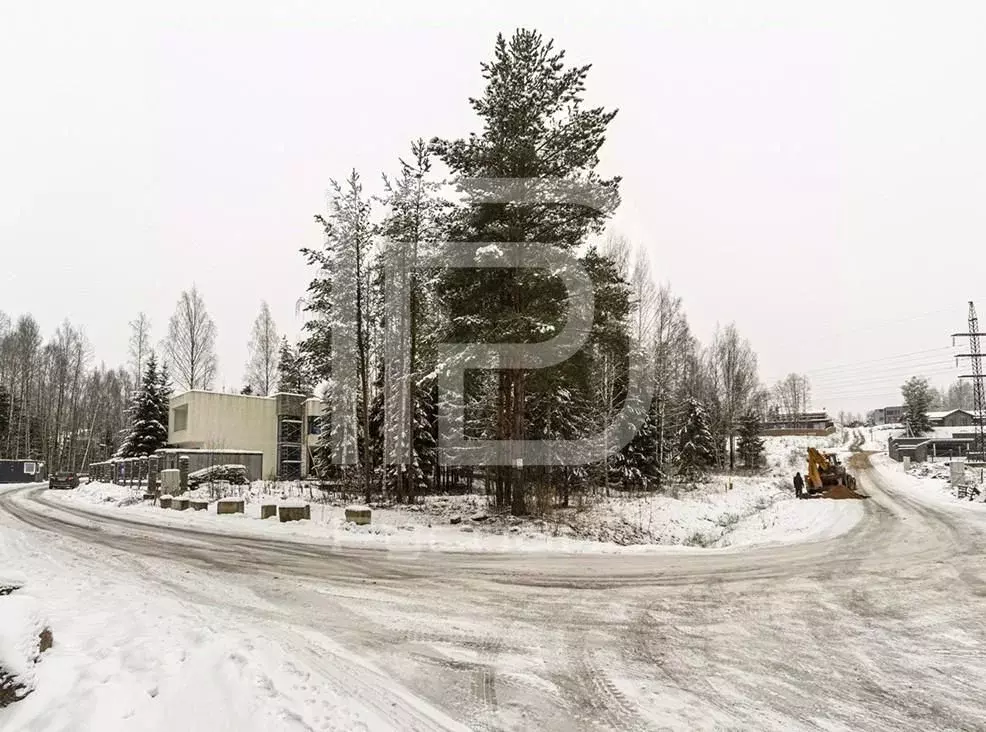 Участок в Ленинградская область, Всеволожский район, Бугровское ... - Фото 2