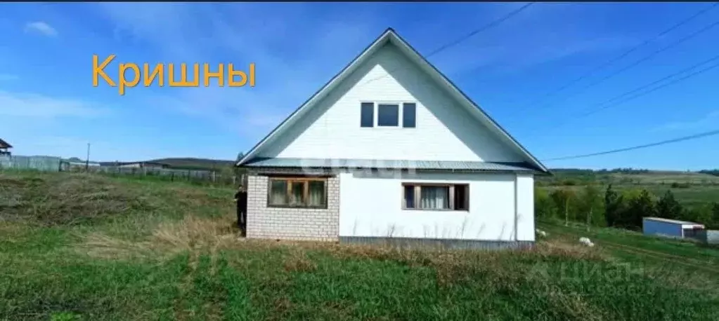Дом в Татарстан, Альметьевский район, Борискинское с/пос, с. Добромыш ... - Фото 0