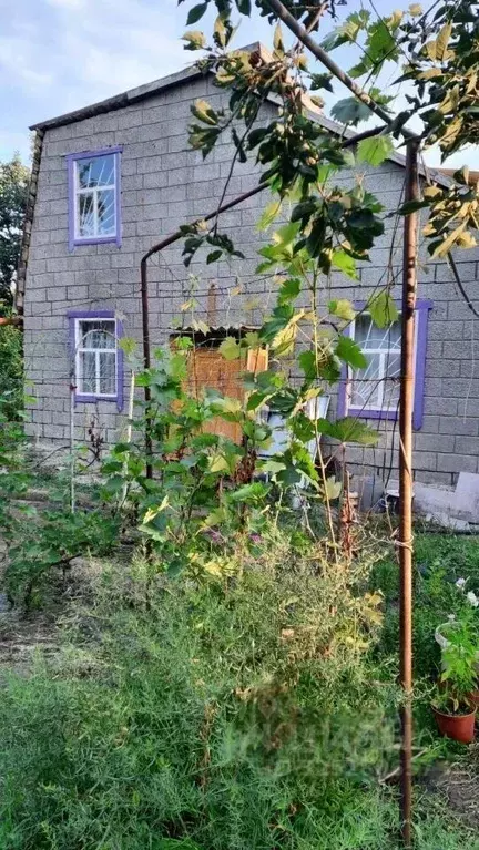 Дом в Ростовская область, Белокалитвинский район, Нижнепоповское ... - Фото 1