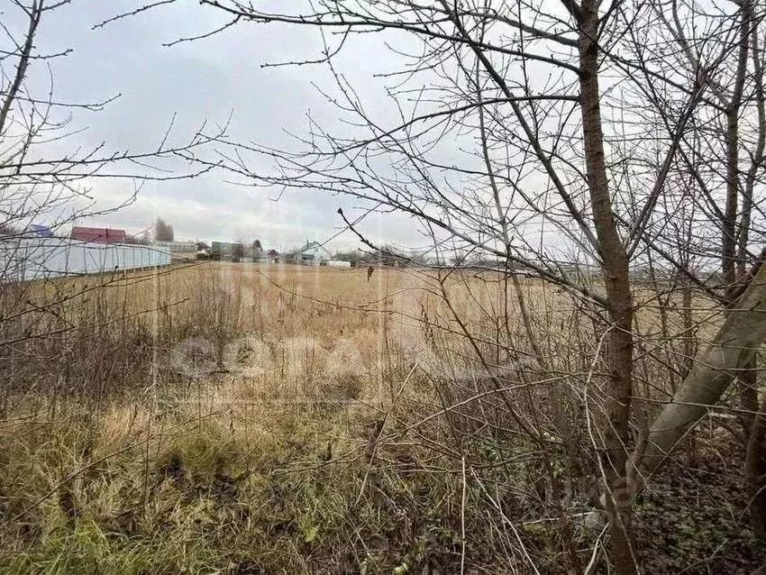 Дом в Воронежская область, Хохольский район, с. Новогремяченское ... - Фото 2