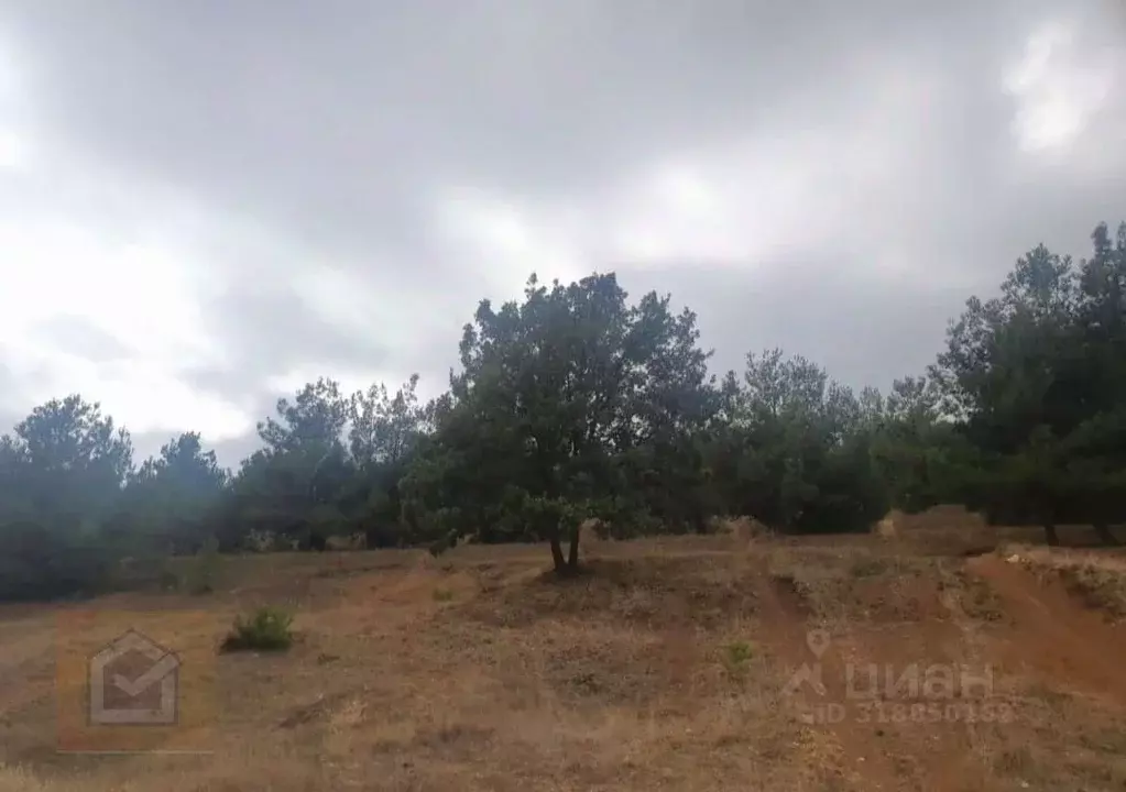Участок в Севастополь Черноморец-2 садоводческое товарищество, 2А ... - Фото 0