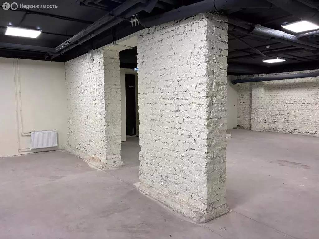 Помещение свободного назначения (23.9 м) - Фото 2
