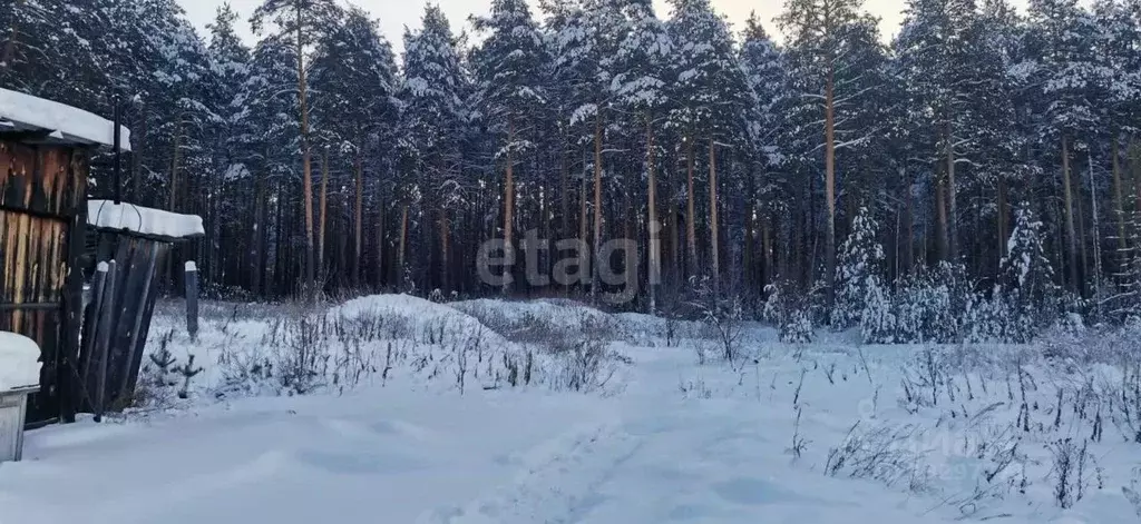 Участок в Свердловская область, Горноуральский городской округ, пос. ... - Фото 0