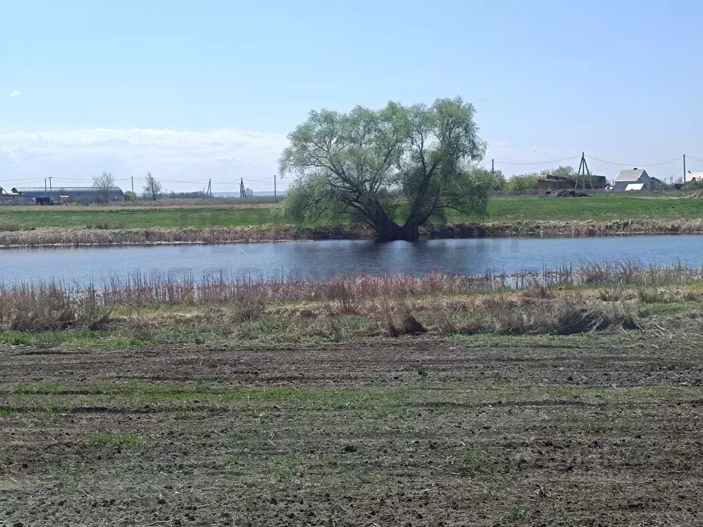 Участок в Самарская область, Красный Яр с/пос, д. Верхняя Солонцовка  ... - Фото 2