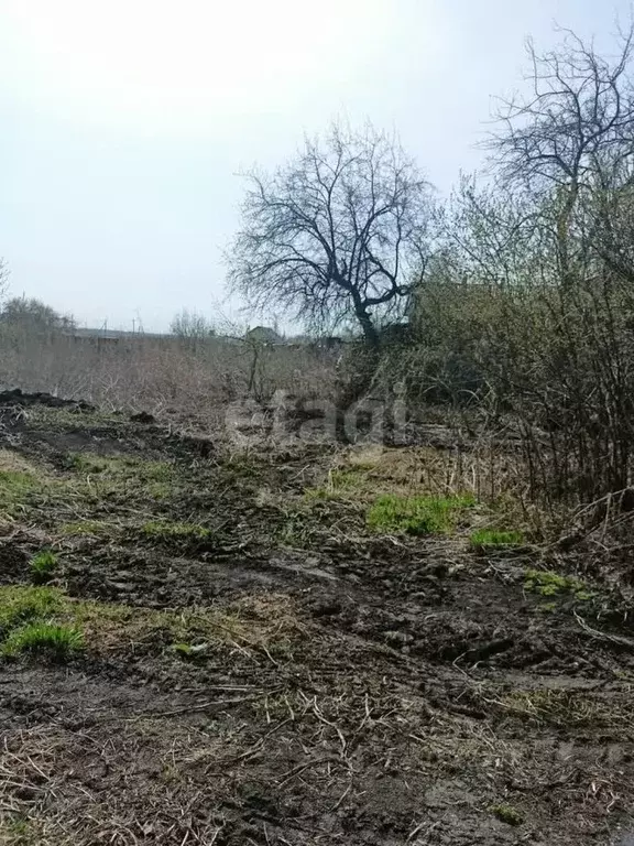 Участок в Курганская область, Шадринск ул. Мира (21.1 сот.) - Фото 0