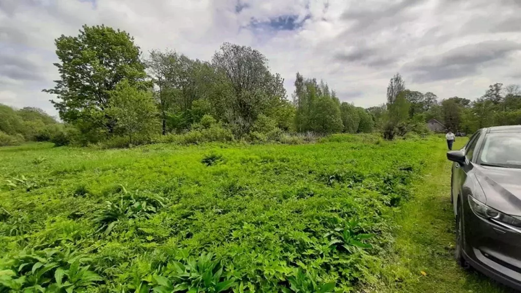 Участок в Ленинградская область, Волосовский район, Большеврудское ... - Фото 2