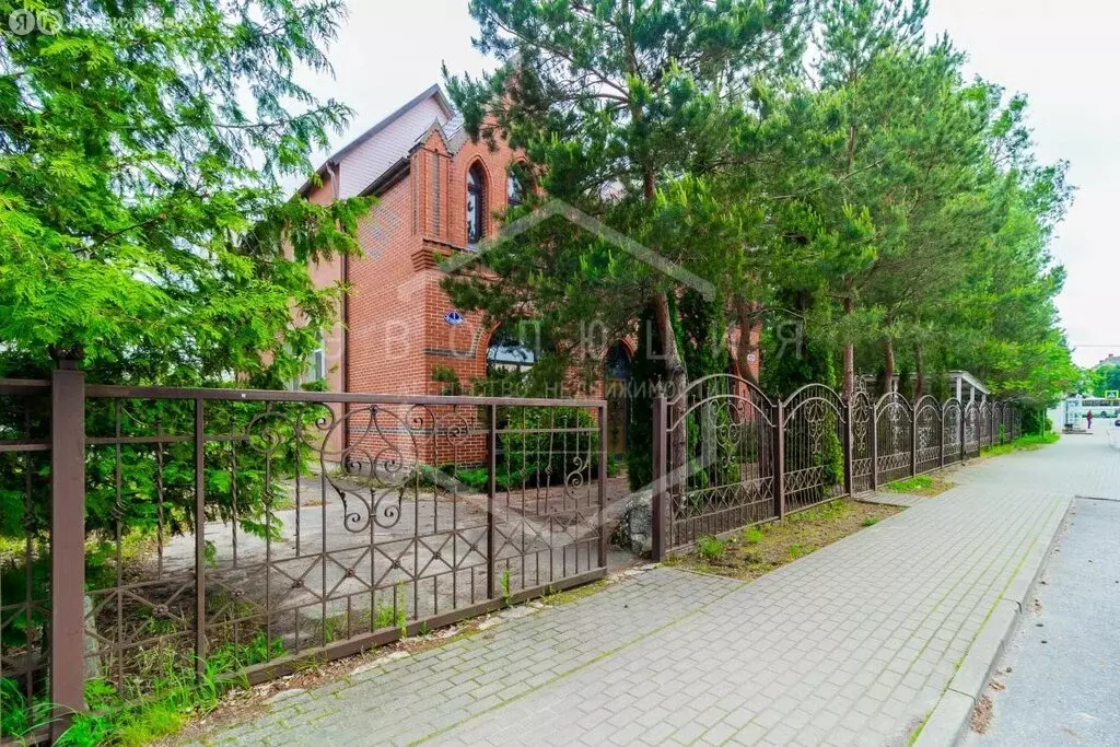Помещение свободного назначения (542 м) - Фото 2