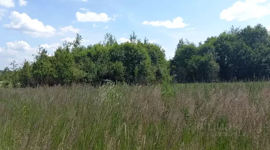 Участок в Московская область, Дмитровский муниципальный округ, пос. ... - Фото 0