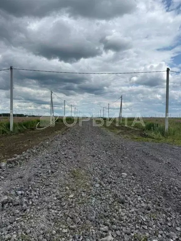 Участок в Тюменская область, Тюменский район, д. Малиновка ул. Южная ... - Фото 2