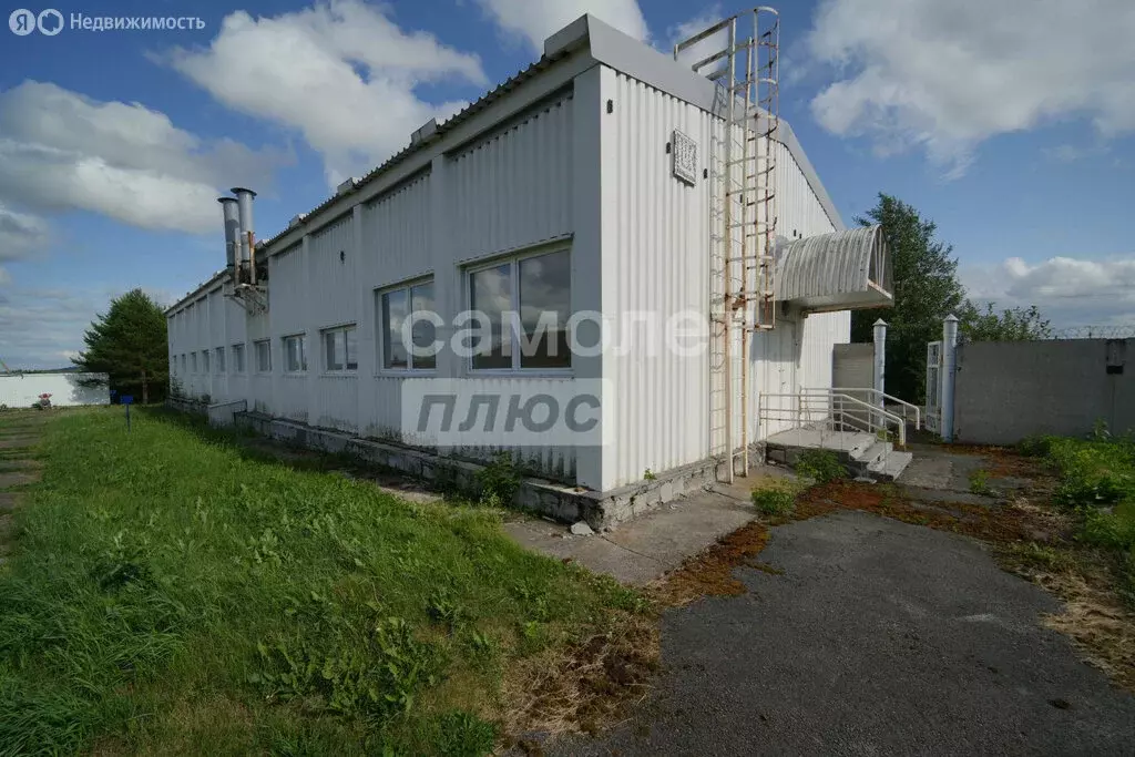 Помещение свободного назначения (361.7 м) - Фото 1