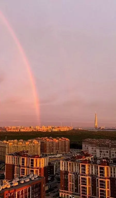 1-к кв. Санкт-Петербург ул. Верхне-Каменская, 11к1 (33.0 м) - Фото 1