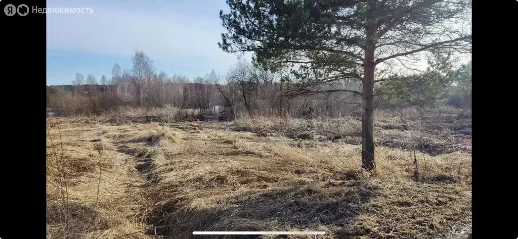 Участок в Вологодский муниципальный округ, деревня Ильинское ... - Фото 1