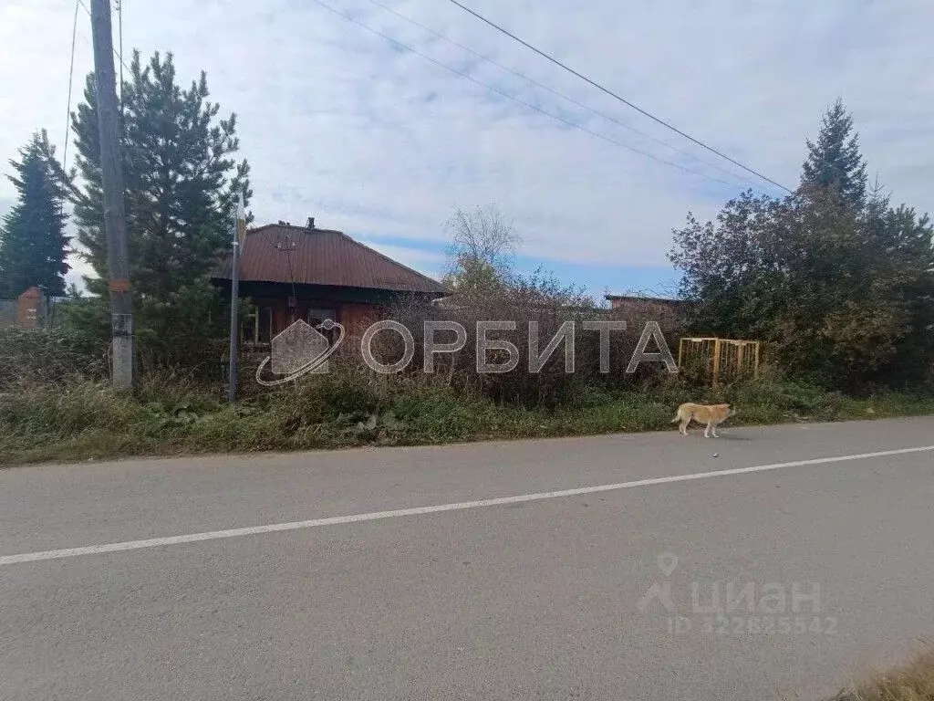 Участок в Тюменская область, Тюменский муниципальный округ, д. ... - Фото 1