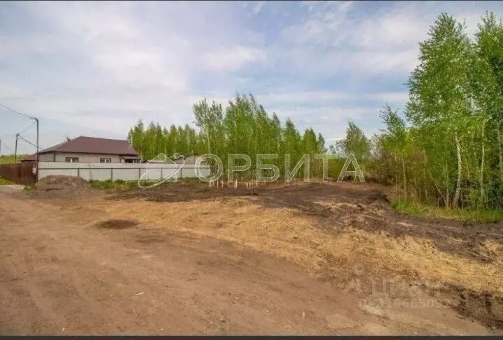 Участок в Тюменская область, Тюмень Садовое товарищество Липовый ... - Фото 0