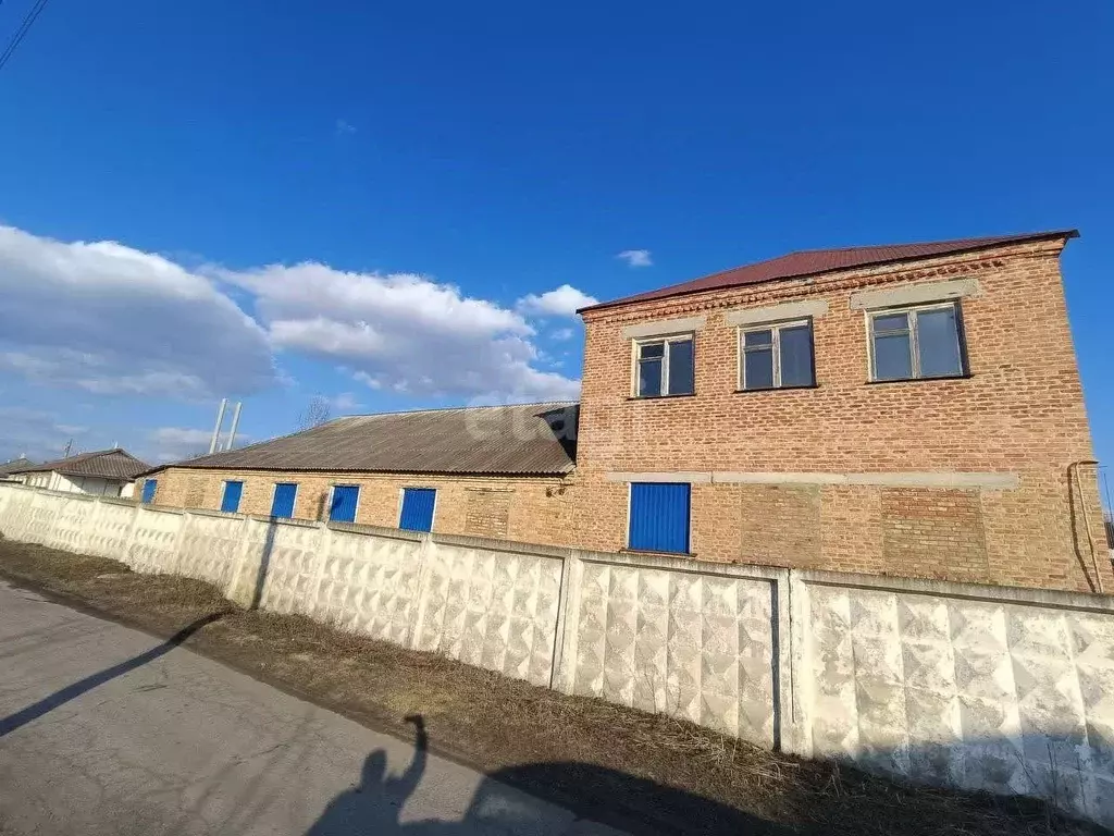 Помещение свободного назначения в Белгородская область, Вейделевка рп ... - Фото 2