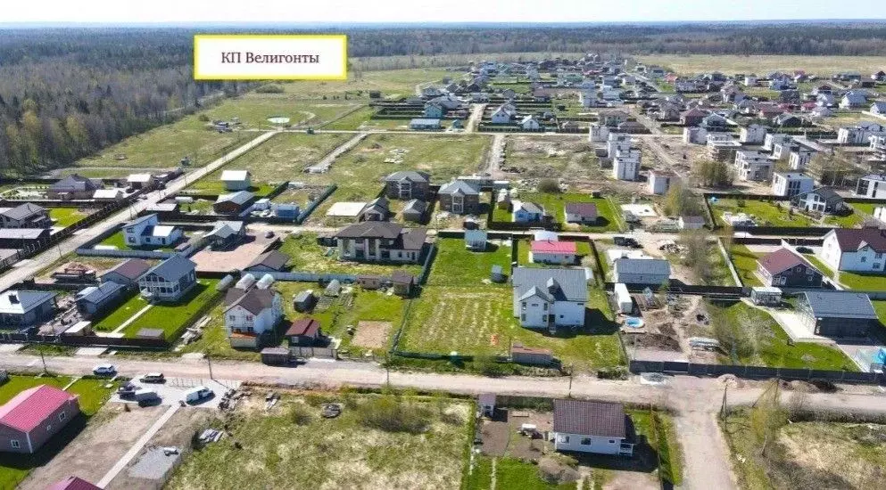 Участок в Ленинградская область, Ломоносовский район, Горбунковское ... - Фото 1