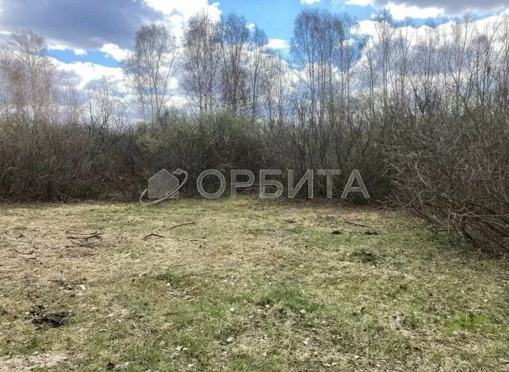 Участок в Тюменская область, Тюмень Поле Чудес садовое товарищество, ... - Фото 1