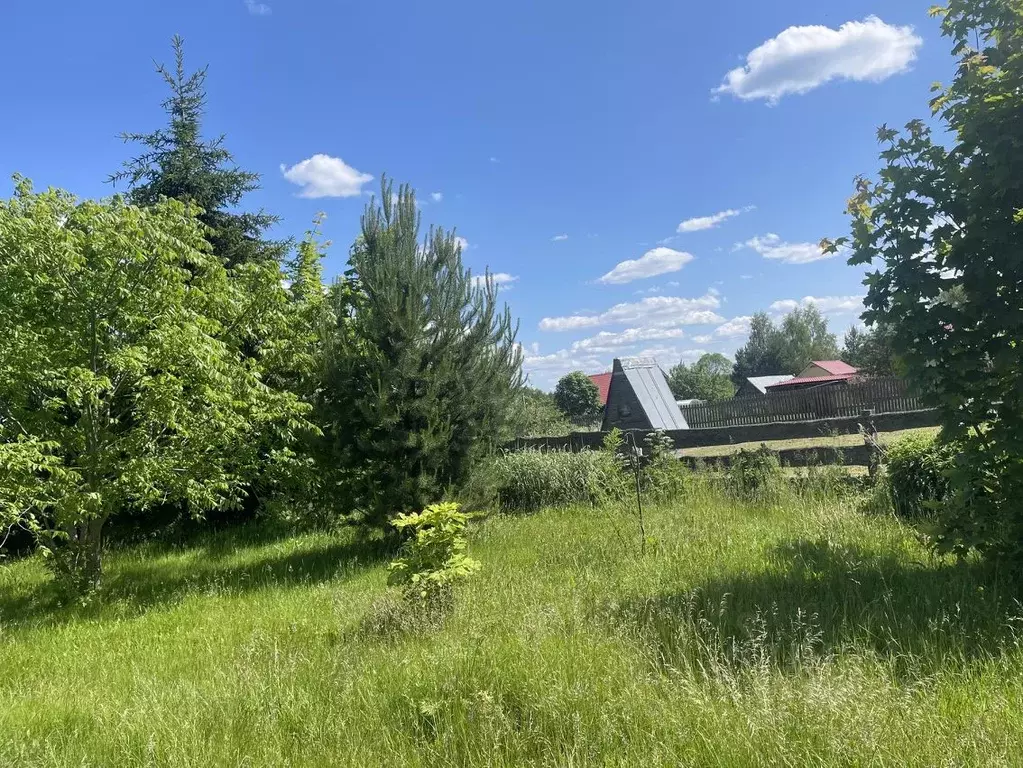 Участок в Тверская область, Конаковский муниципальный округ, д. Дорино ... - Фото 0