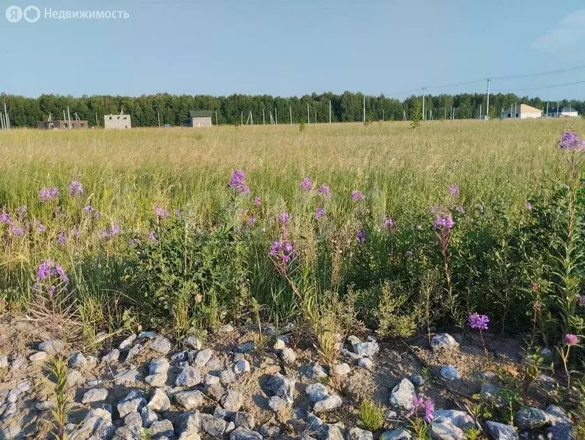 Участок в Тюменский район, деревня Падерина (10 м) - Фото 1