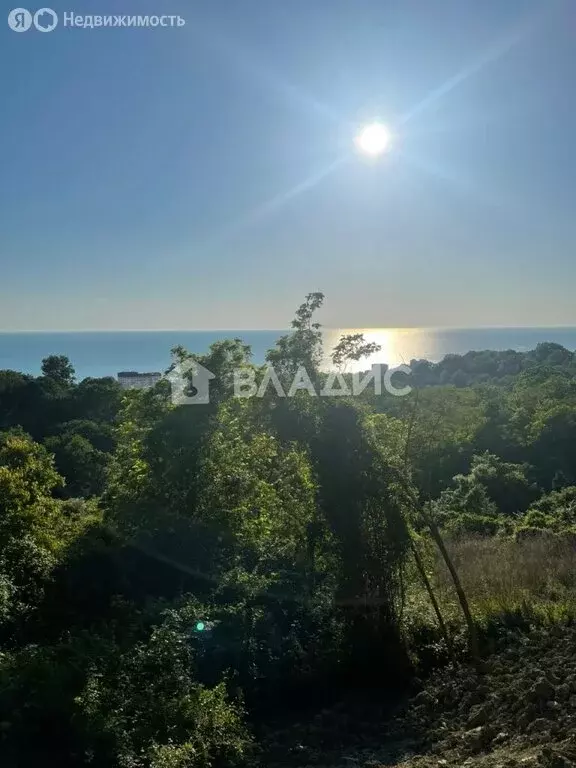 Участок в Краснодарский край, Сочи, улица Гастелло, 27Б (10 м) - Фото 0
