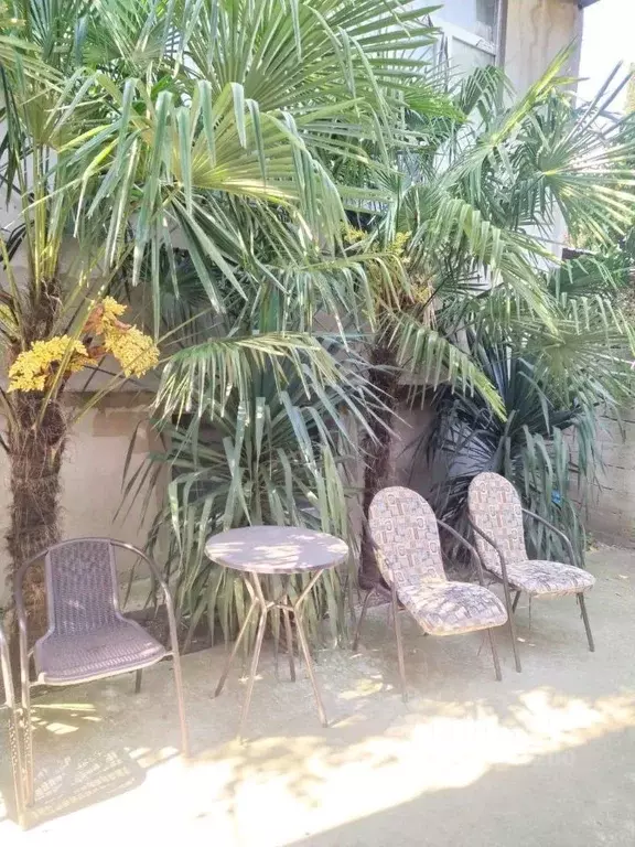 Студия Крым, Ялта ул. Чехова, 25 (25.0 м) - Фото 1