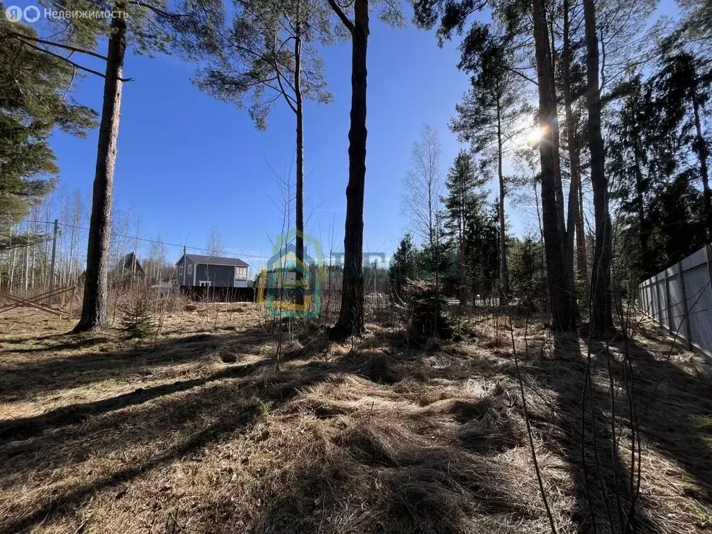 Участок в Всеволожск, улица Рубцова, 35К (12 м) - Фото 2