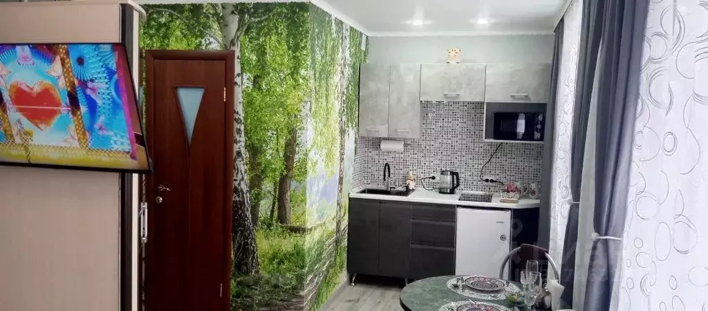 Студия Башкортостан, Стерлитамак Лесная ул., 24А (23.0 м) - Фото 1