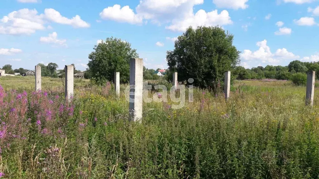 Участок в Вологодская область, Череповецкий район, д. Горка ... - Фото 1