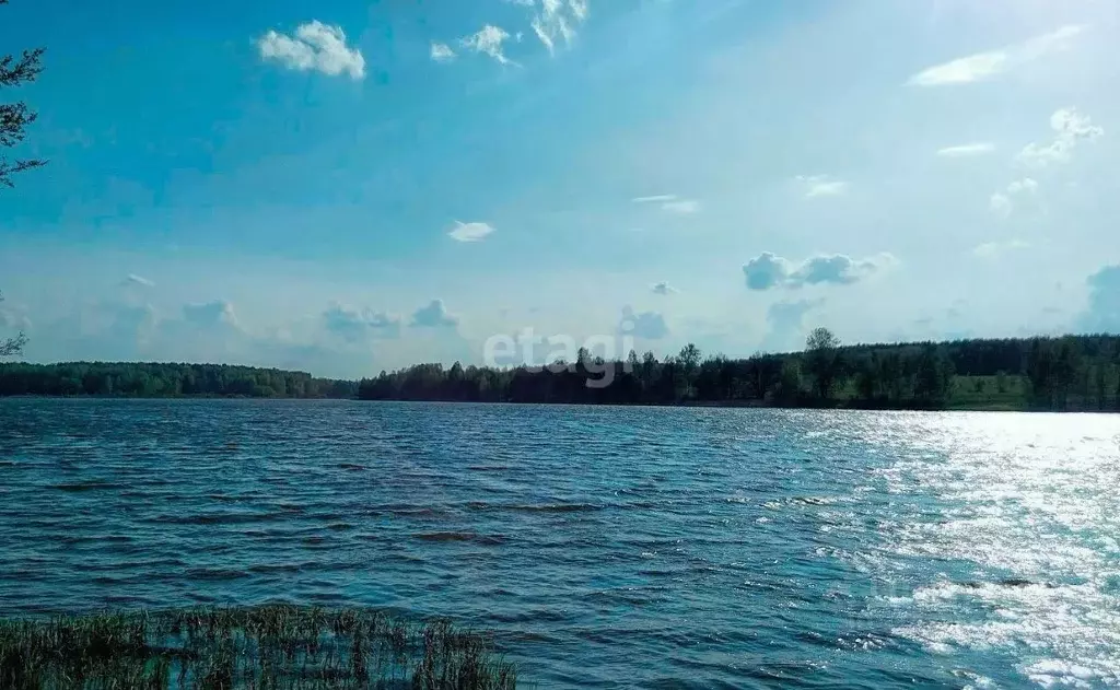 Участок в Брянская область, Жуковский муниципальный округ, с. Крыжино  ... - Фото 1