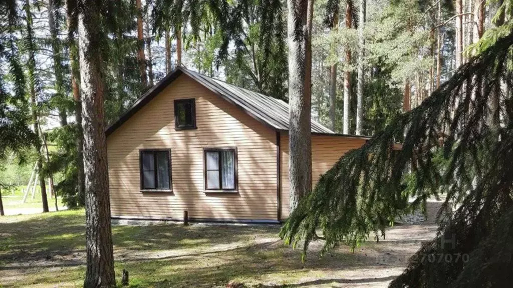 Комната Ленинградская область, Приозерский район, Севастьяновское ... - Фото 0