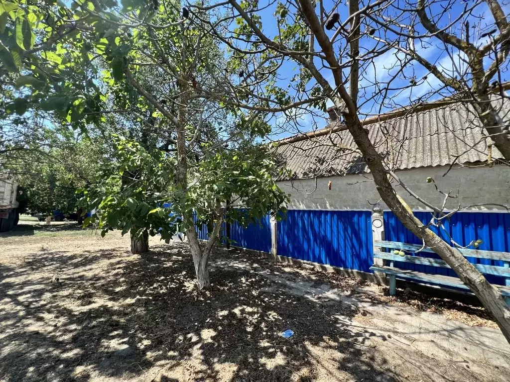 Дом в Краснодарский край, Темрюкский район, Ахтанизовская ст-ца ... - Фото 2