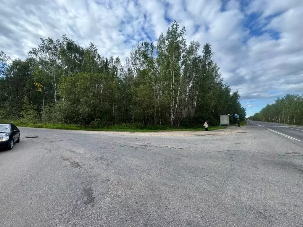 Участок в Тверская область, Калининский муниципальный округ, Новый ... - Фото 2